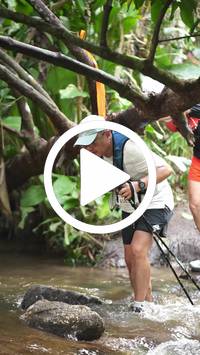 BIB:  <button type="button" onclick="openModal(27558843)" class="btn btn-primary btn-sm float-right" data-toggle="modal" data-target=".modal-high-quality">
                <i class="fa fa-download"></i> Download
                </button>